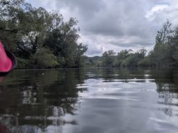 Mainschwimmen Juni 2026